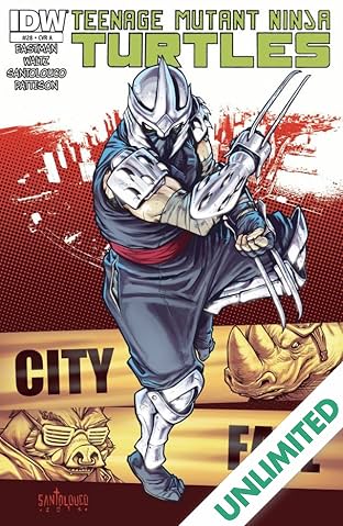 Teenage Mutant Ninja Turtles #28